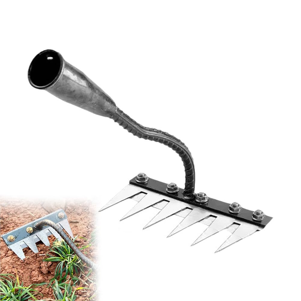 gid://shopify/MediaImage/27001964429382